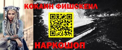 гашик Камышлов