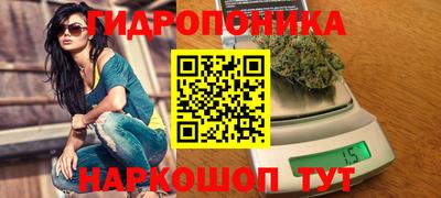 гашик Камышлов