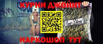 гашик Камышлов