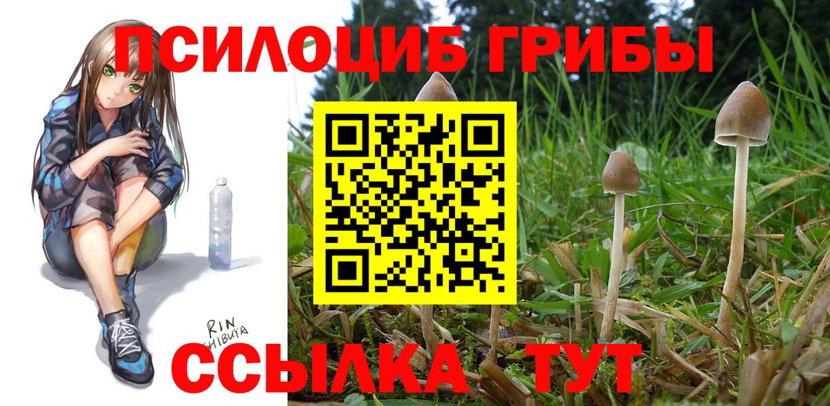 Псилоцибиновые грибы GOLDEN TEACHER Кропоткин