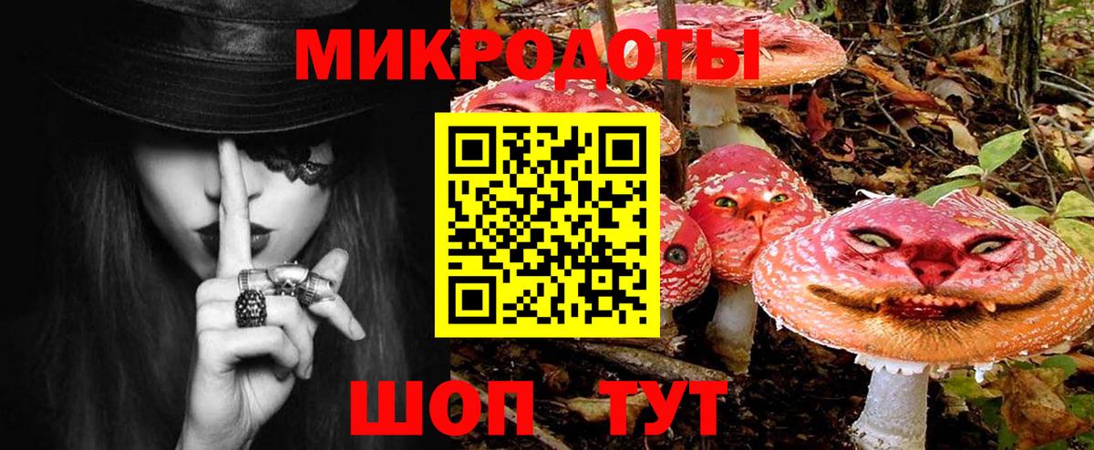 Кропоткин  Псилоцибиновые грибы MAGIC MUSHROOMS  Вход с VPN 